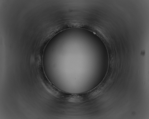 X0000091520459200708311252