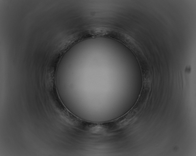 X0000091520460200708311252