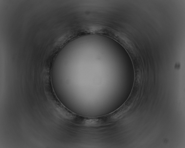 X0000091520461200708311252