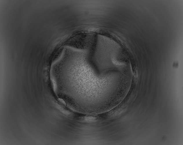 X0000091520462200708311253