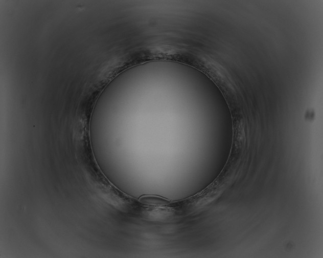 X0000091520463200708311253