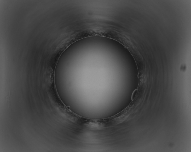 X0000091520464200708311253