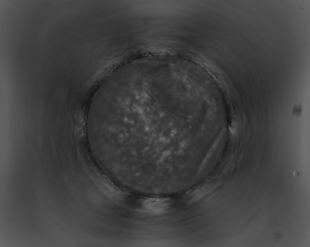 X0000091520465200708311253