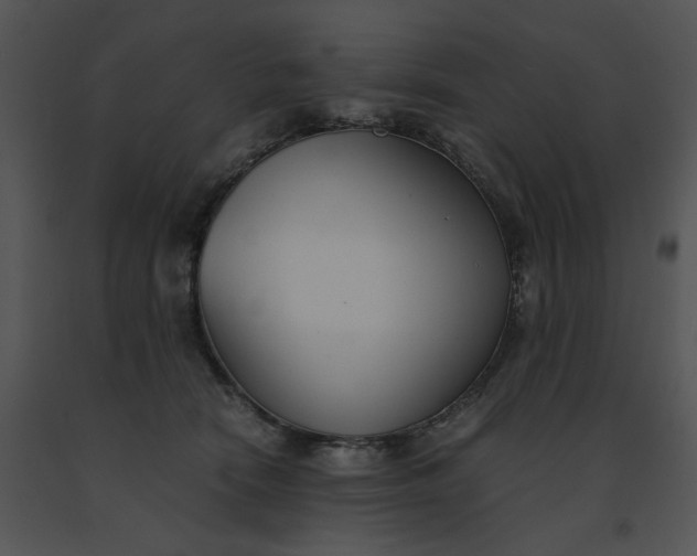 X0000091520466200708311253