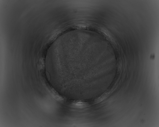 X0000091520467200708311253