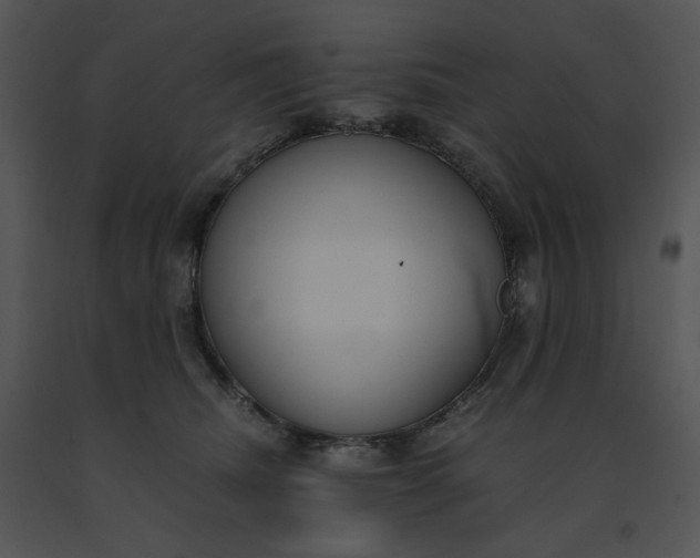 X0000091520468200708311253