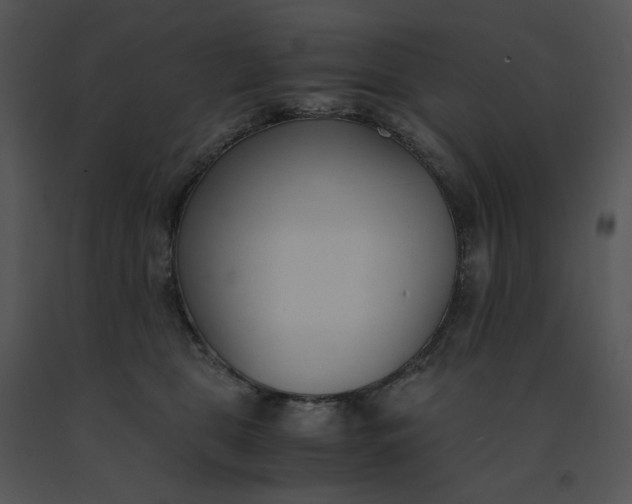 X0000091520469200708311253