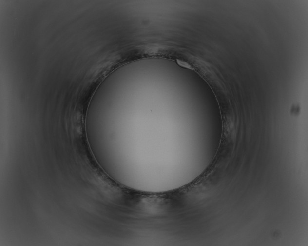 X0000091520470200708311253