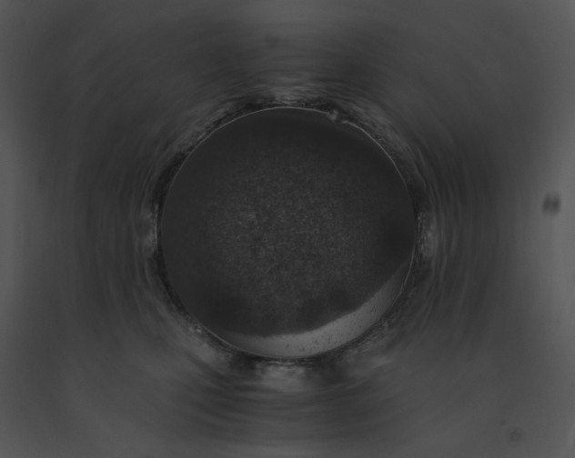 X0000091520471200708311253