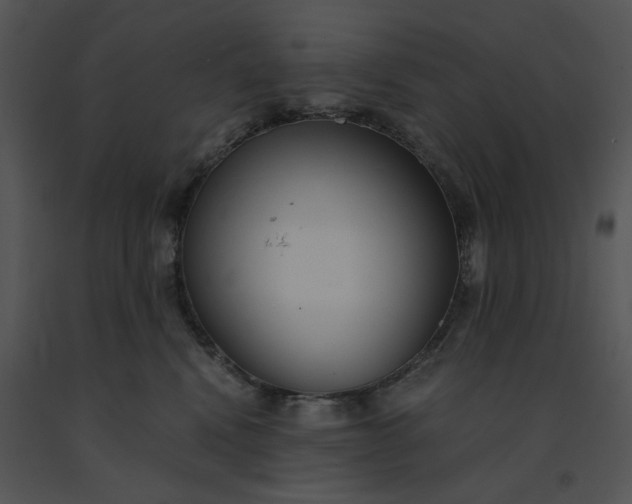 X0000091520472200708311253