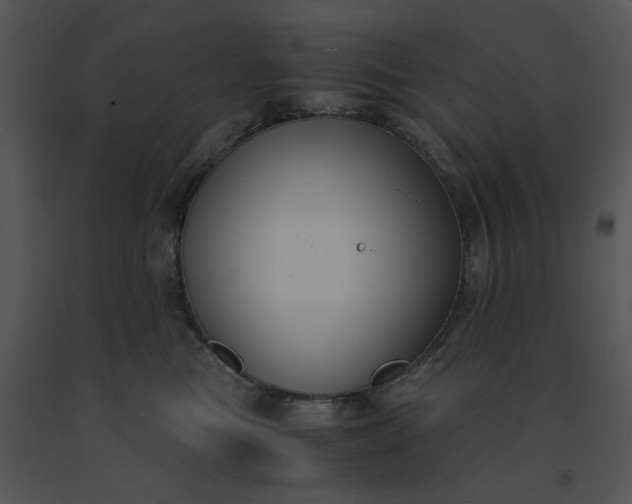 X0000091520473200708311253