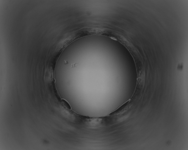 X0000091520474200708311253