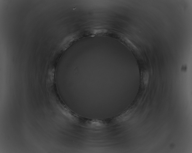 X0000091520475200708311253