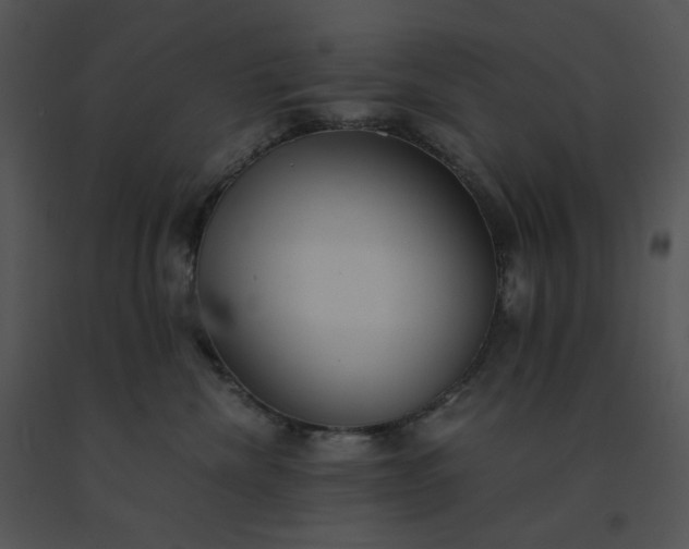 X0000091520476200708311253