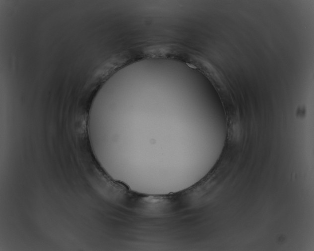 X0000091520477200708311253