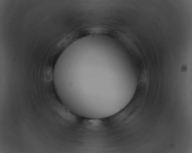 X0000091520478200708311253