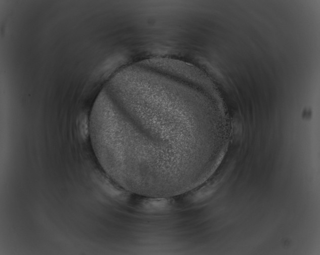 X0000091520479200708311253