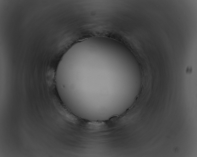 X0000091520480200708311253