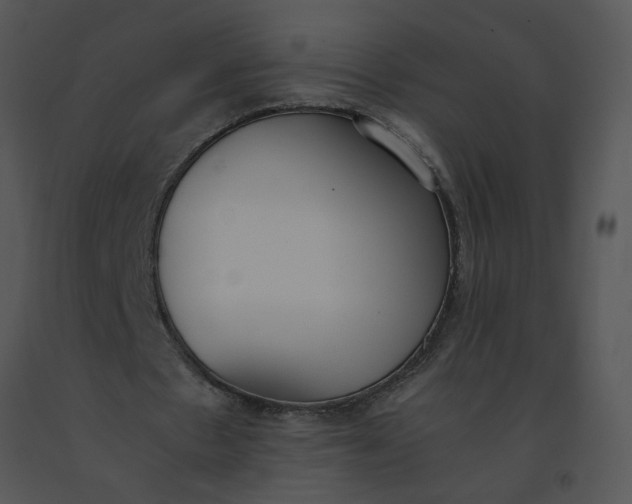 X0000091520481200708311252