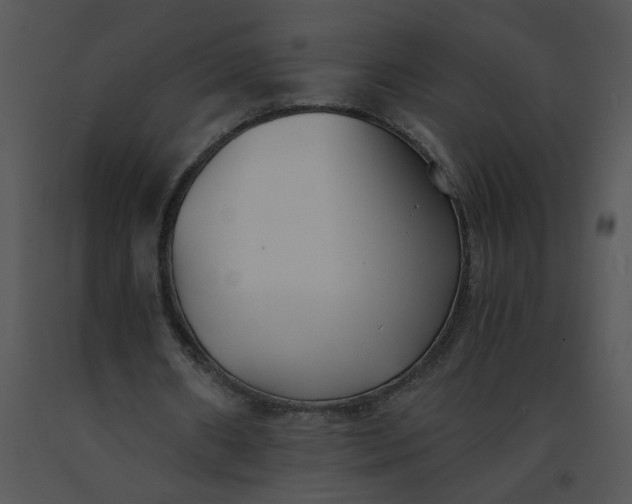 X0000091520482200708311252