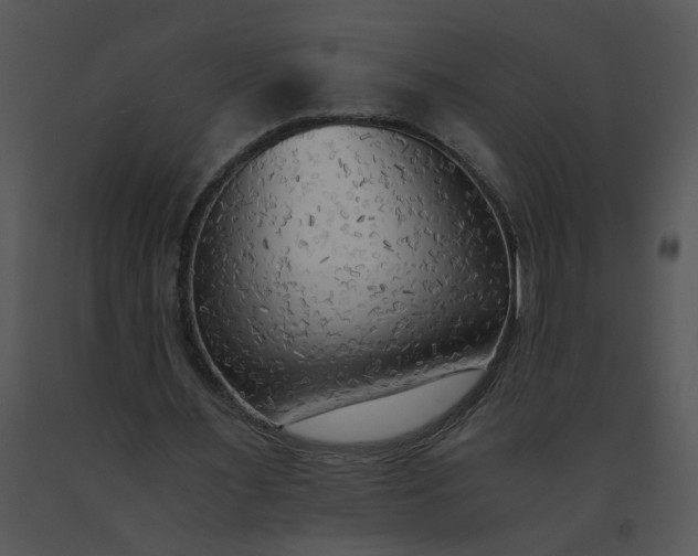 X0000091520483200708311252