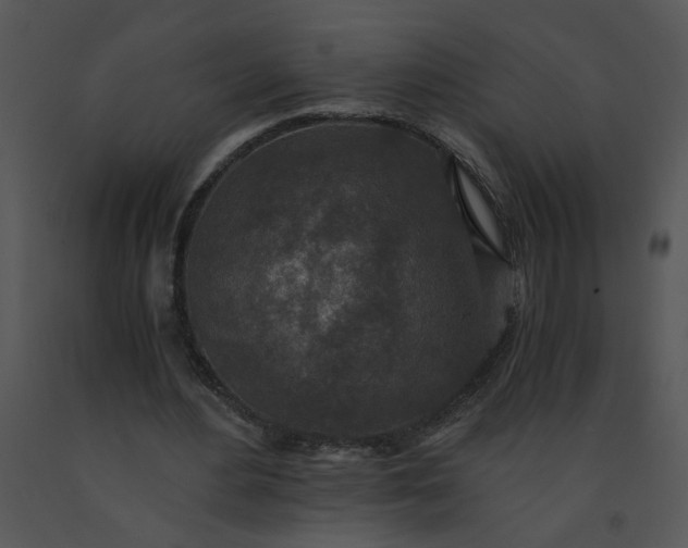 X0000091520484200708311252