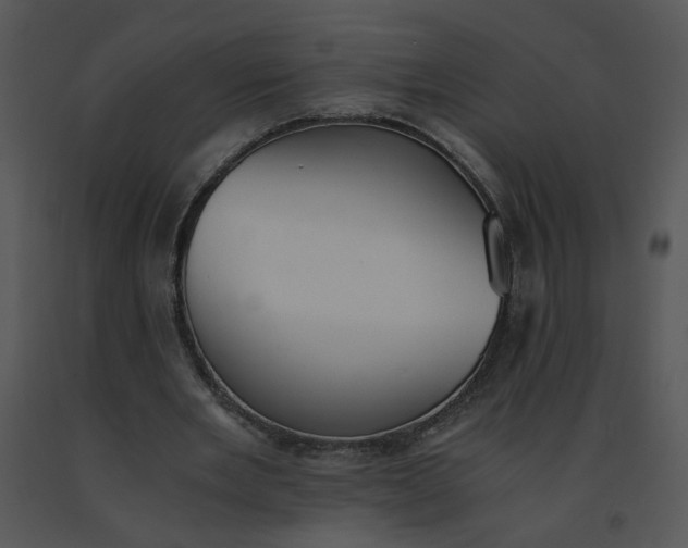 X0000091520485200708311252