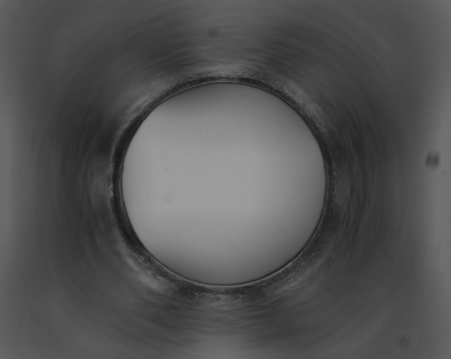 X0000091520486200708311252