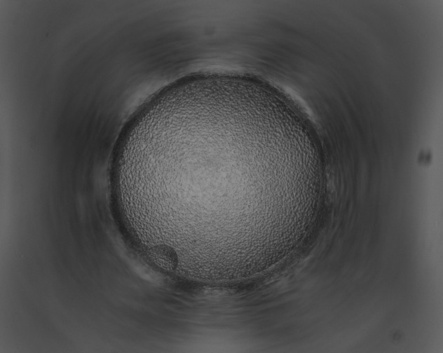 X0000091520487200708311252