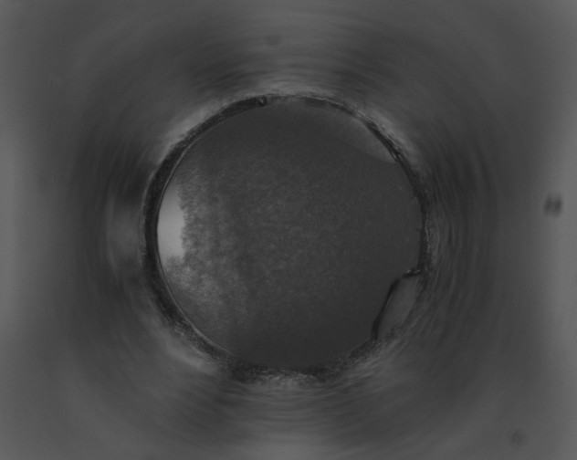 X0000091520488200708311252