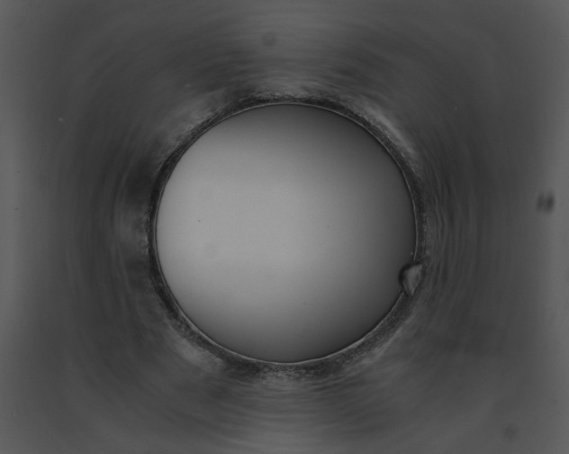 X0000091520489200708311252