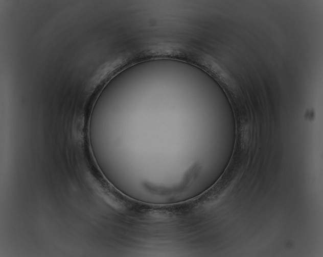 X0000091520490200708311252