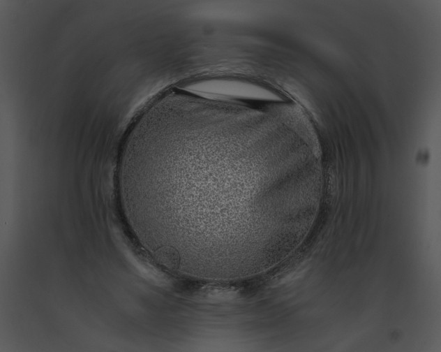 X0000091520491200708311252