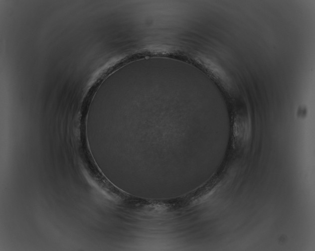 X0000091520492200708311252