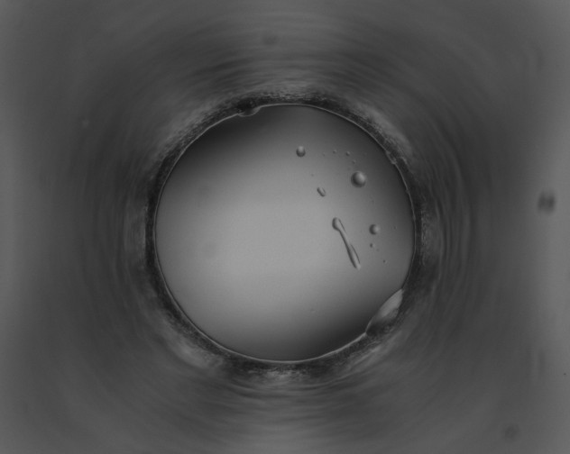 X0000091520493200708311252