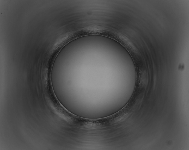 X0000091520494200708311252