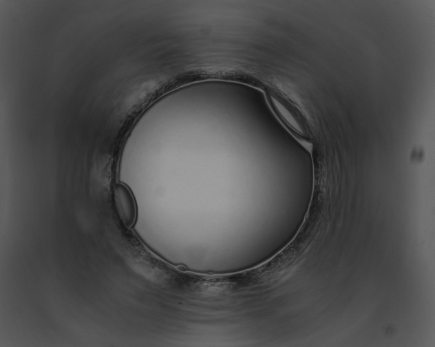 X0000091520495200708311252