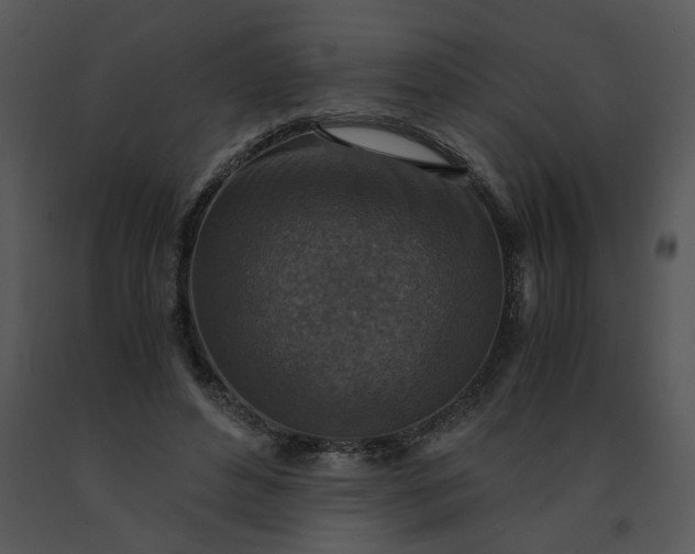 X0000091520496200708311252