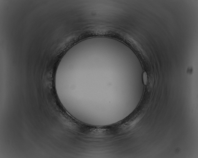 X0000091520497200708311252