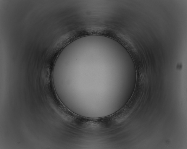 X0000091520498200708311252