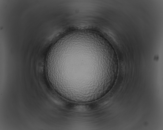 X0000091520499200708311252