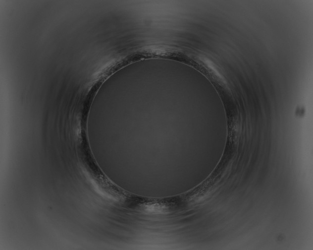 X0000091520500200708311252