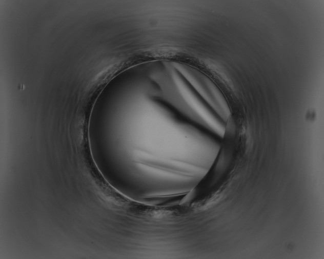 X0000091520501200708311252