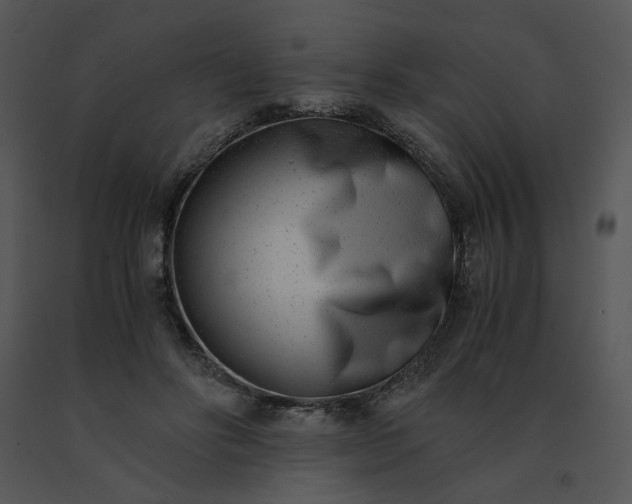 X0000091520502200708311252