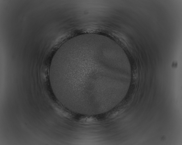 X0000091520503200708311252