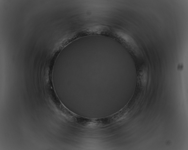 X0000091520504200708311252