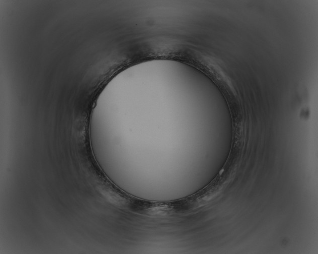 X0000091520505200708311252