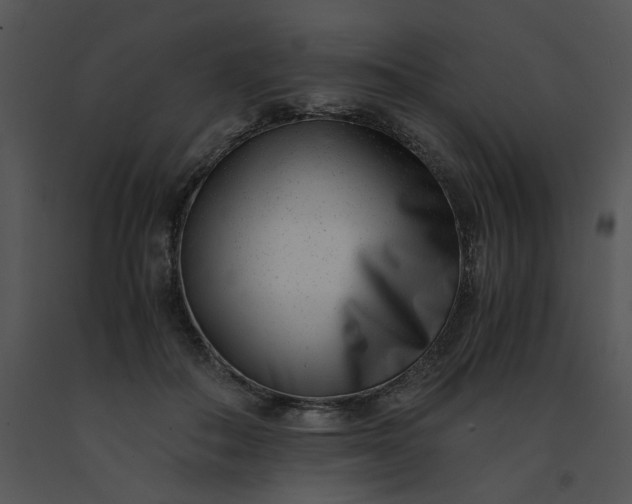 X0000091520506200708311252