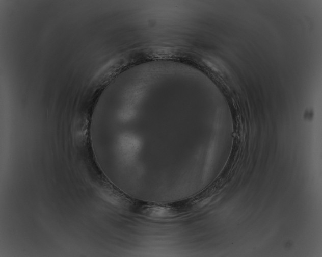 X0000091520507200708311252