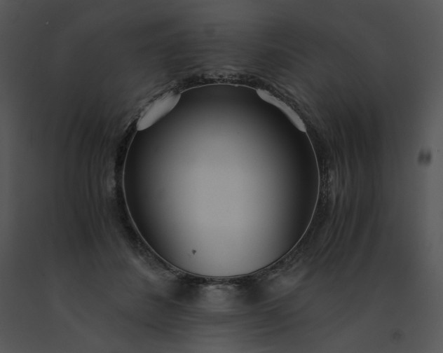 X0000091520508200708311252